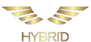 HYBRID ERP